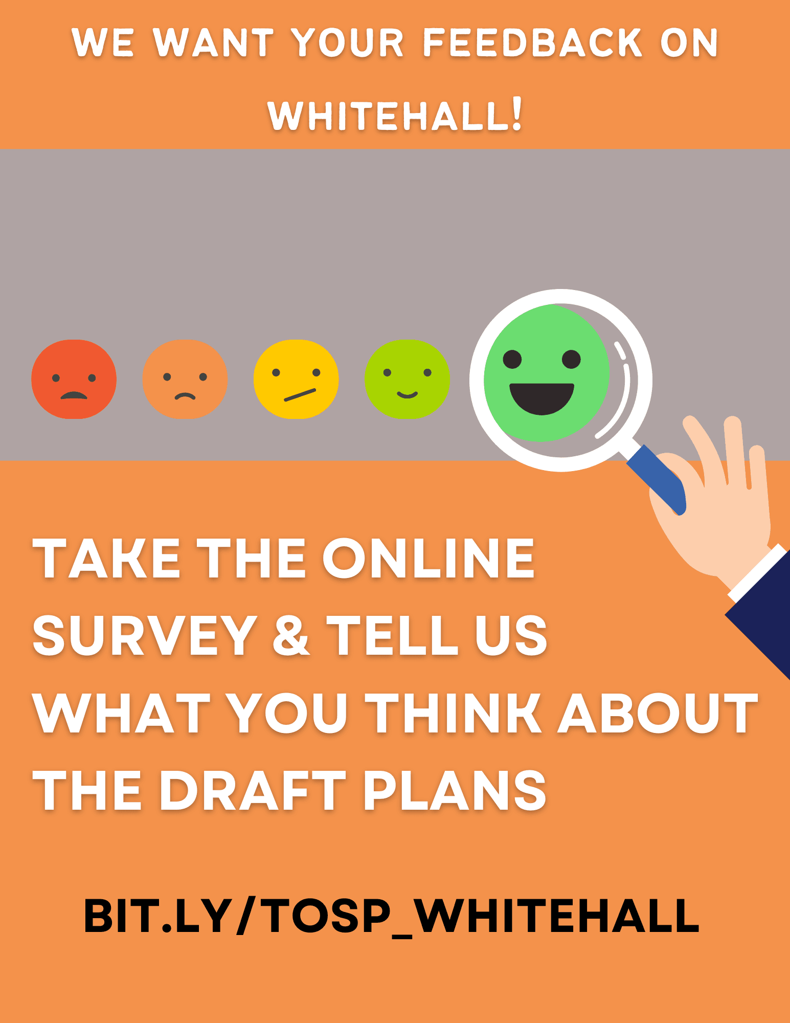 Whitehall Survey website