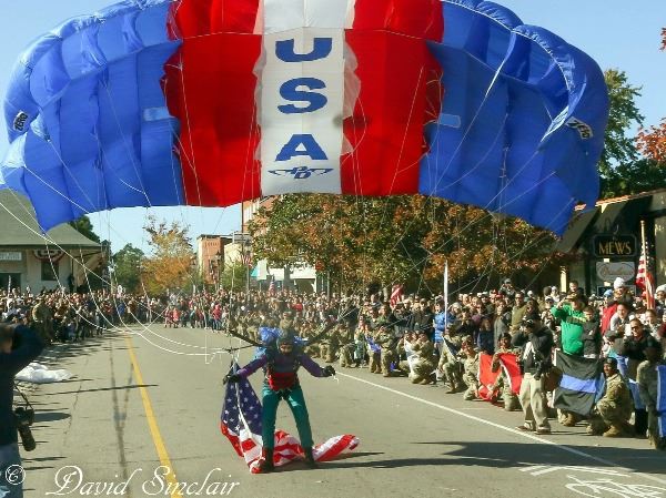 Image of parachute landing at Veterans Parade