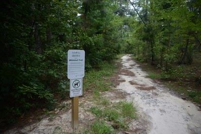 Whitehall Cropped Resized