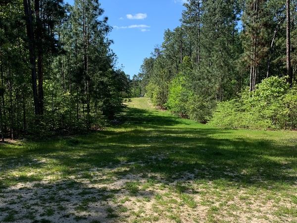 Image of Martin Park Trail 